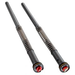 Cartucho WP Suspension APEX PRO 6500 CARTRIDGE