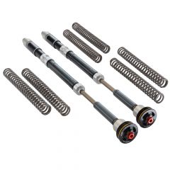 Cartucho WP Suspension APEX PRO 7500 CARTRIDGE + Muelles de Horquilla