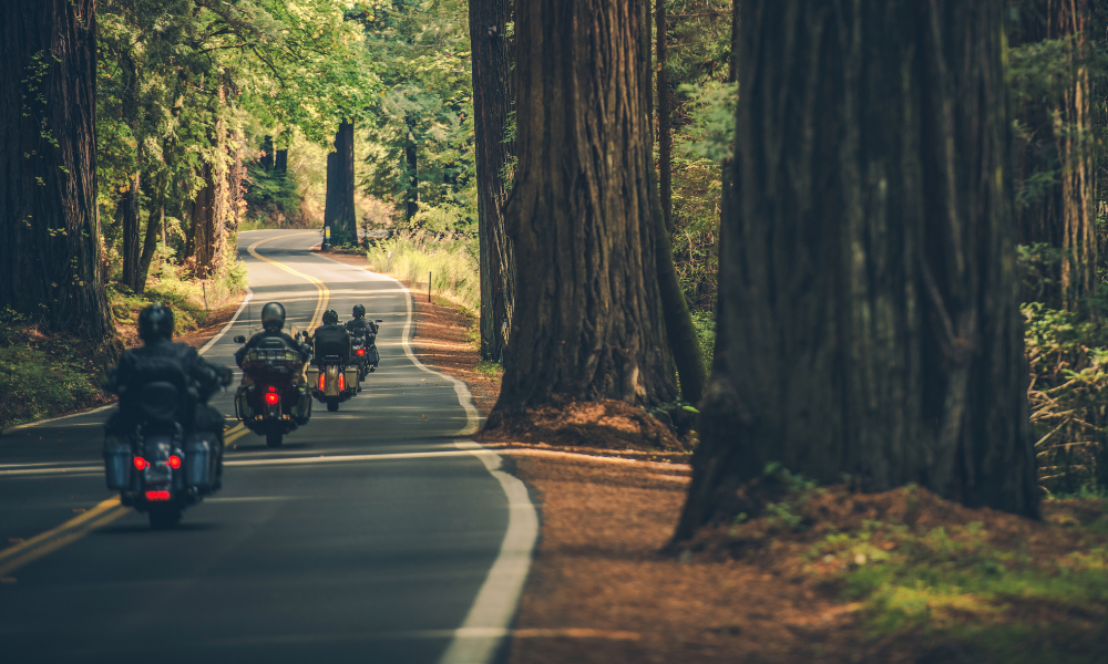 Turismo de aventura en motocicletas: Destinos escénicos y desafiantes